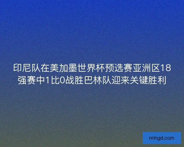 印尼队在美加墨世界杯预选赛亚洲区18强赛中1比0战胜巴林队迎来关键胜利
